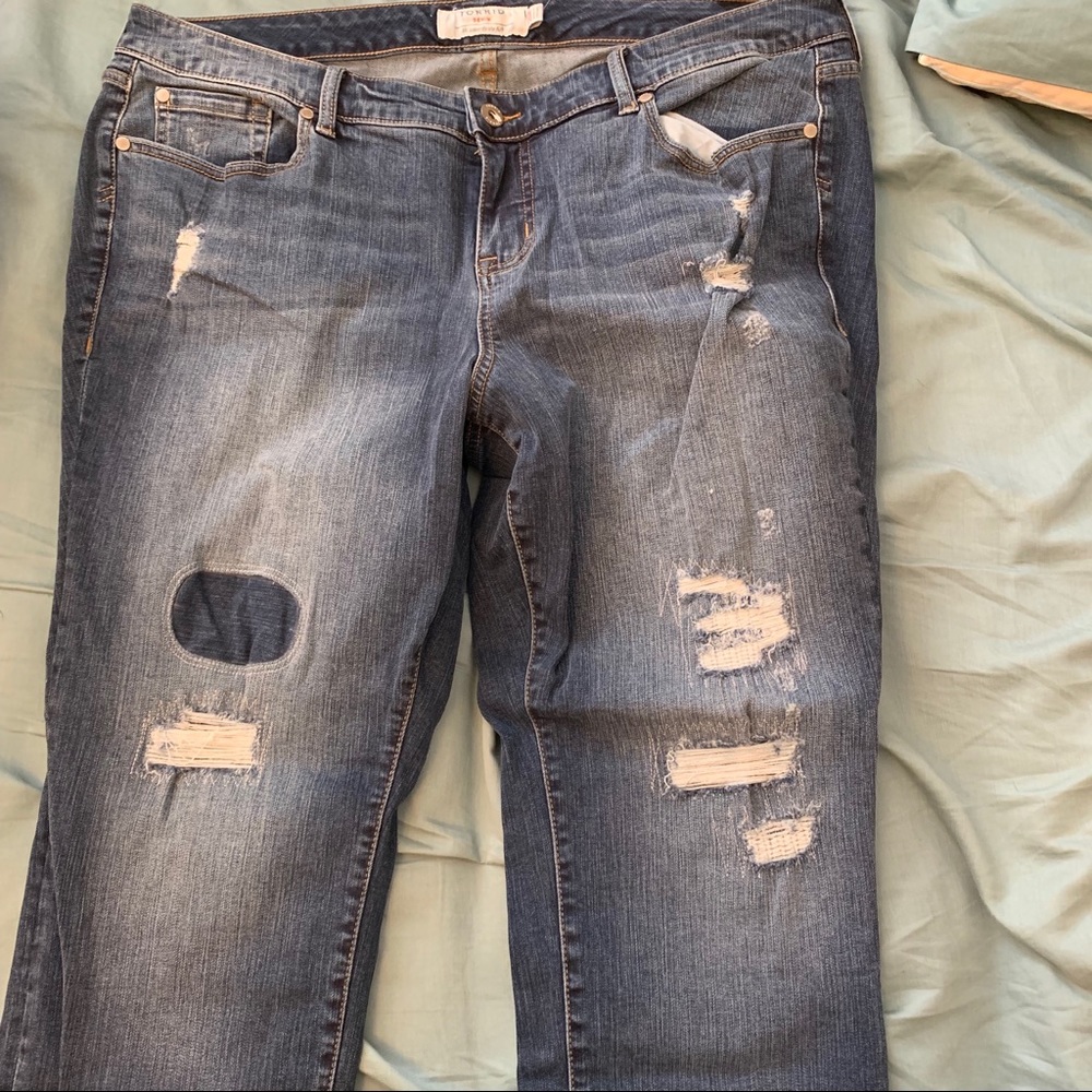 Torrid Jeans